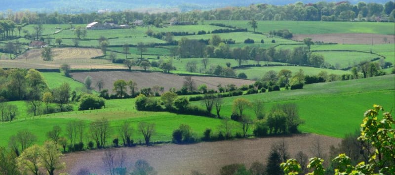 Terres bocagères du Pays d'Auge et virée zen à Cormeilles - Cormeilles