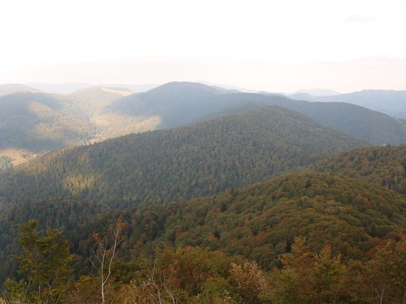 Col des Charbonniers et beautés lacustres des Vosges - Saint-Maurice-sur-Moselle