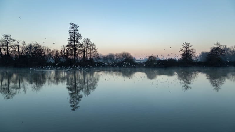 Aizier et balade le long de la Seine - Aizier