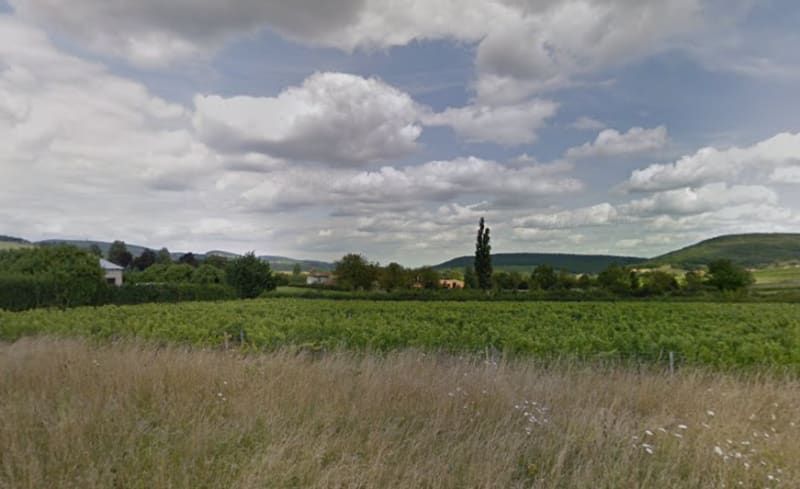 Randonner sur le Mont de la Fa et observer les plantes - Verzé