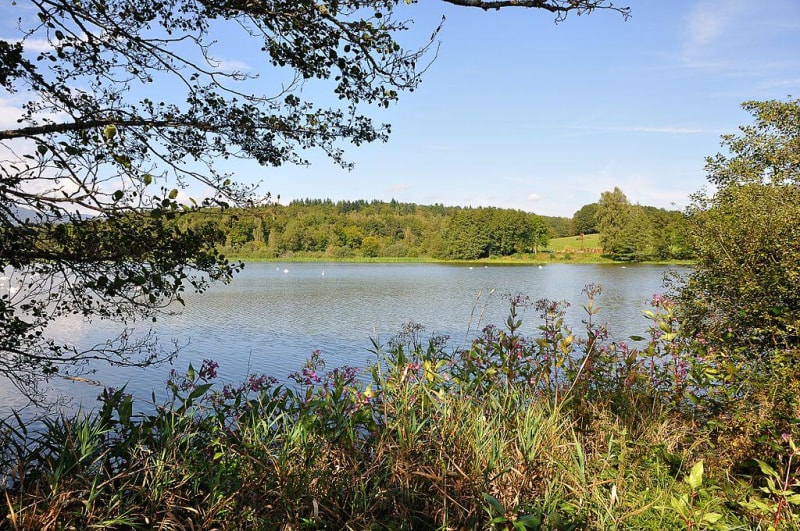 Etangs de la Véronne et lac du Malsaucy depuis Évette-Salbert - Évette-Salbert