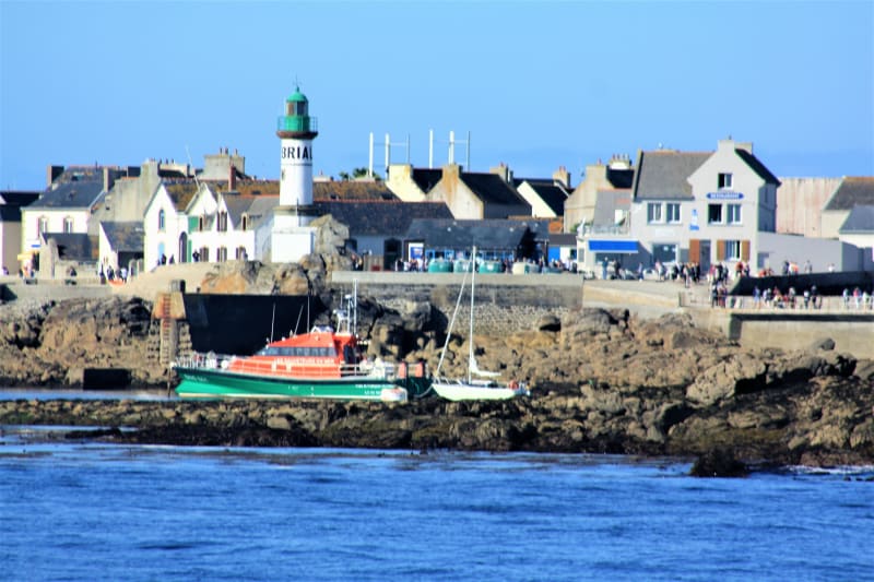 Zee, lucht, Sein-eiland en azuurblauwe vleugels - Île-de-sein