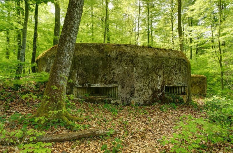 Kilometer nul: een rustige wandeling tussen Zwitserland en Frankrijk - Pfetterhouse (Suisse)