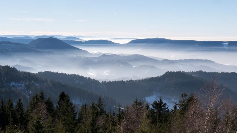 Le Val-d'Ajol et tour de le Haut du Mont à travers la forêt - Le Val-d'Ajol