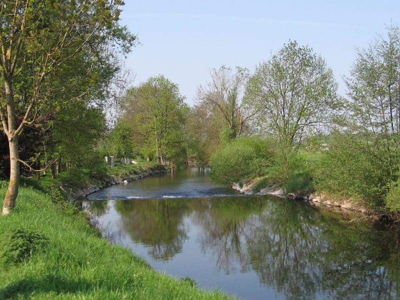Sources de l'Ognon et virée forestière en Haute-Saône - Haut-du-Them-Château-Lambert