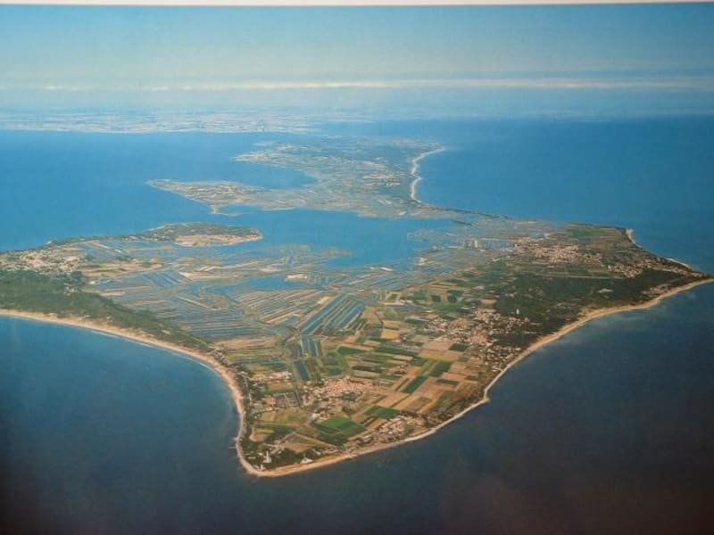 Pointe des Baleines et découverte ornithologique - Saint-Clément-des-Baleines