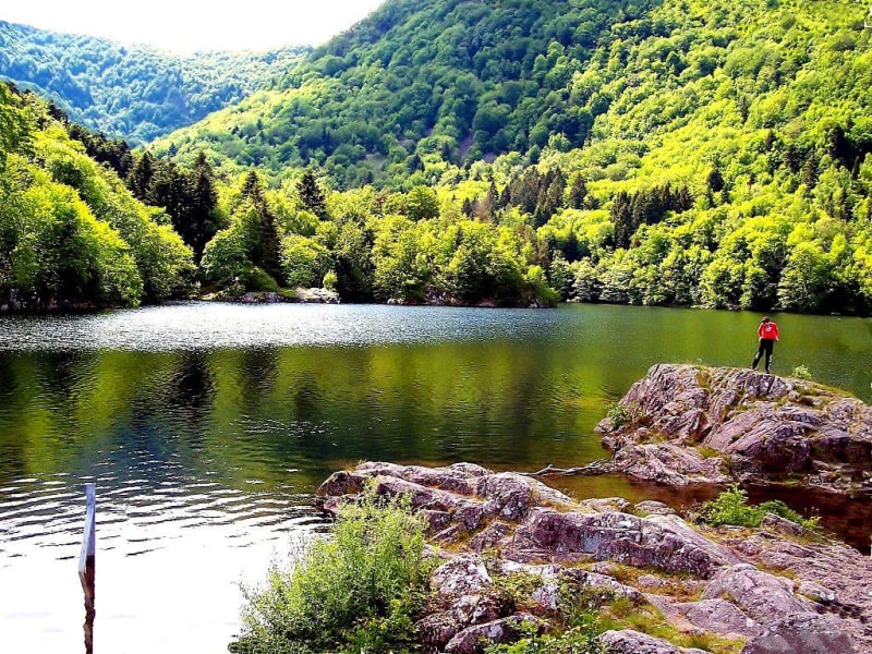 Virée aux lacs d'Alfeld et de Sewen et nature généreuse - Sewen