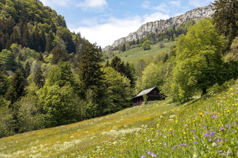 Col de Sibérie et sa balade sur les hauteurs de la Saône - Cenves