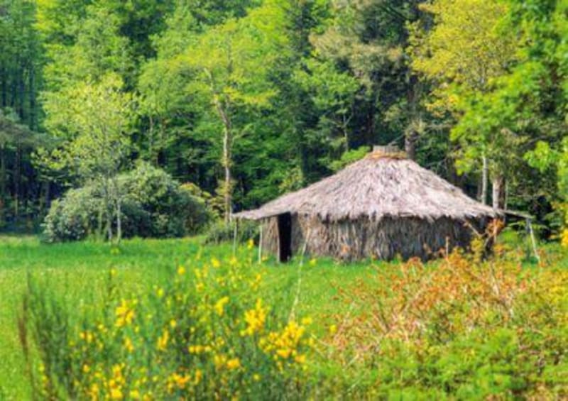 Ancienne voie ferrée, moulin et douces senteurs des bois - Scaër