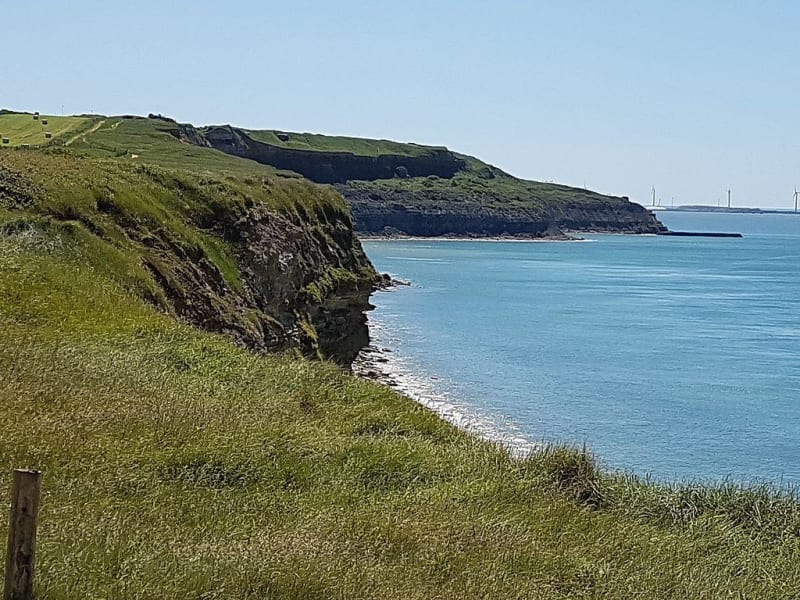 Littoral de Wimereux, dunes et criste marine - Wimereux