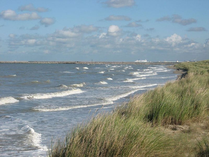 Réserve Naturelle du Platier d’Oye et joyau ornithologique - Oye-Plage