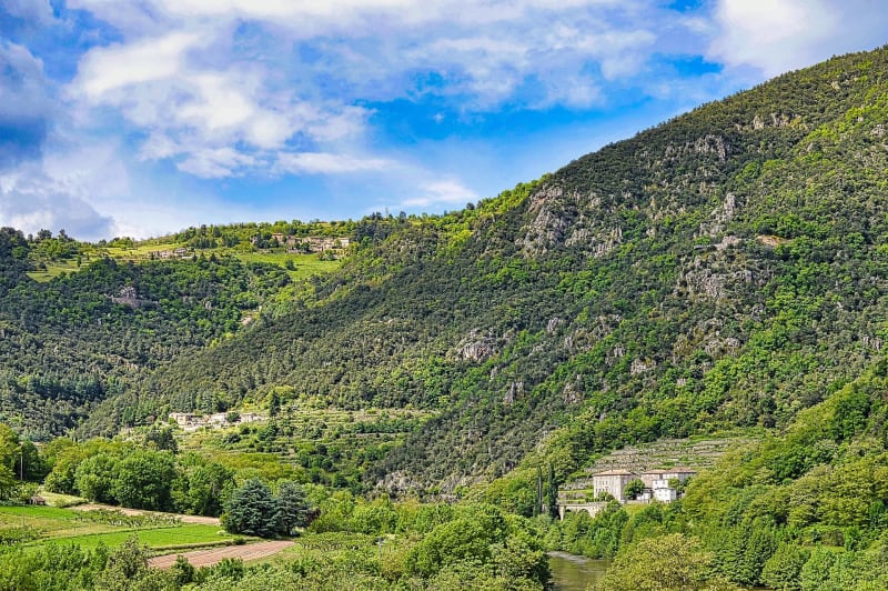 Rondleiding door het natuurlijke erfgoed van de Roches de Borée en de Ardèche - Borée