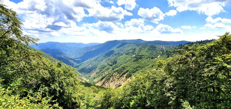 Magie du Bois Merderis et balade vallonnée en forêt - Malataverne