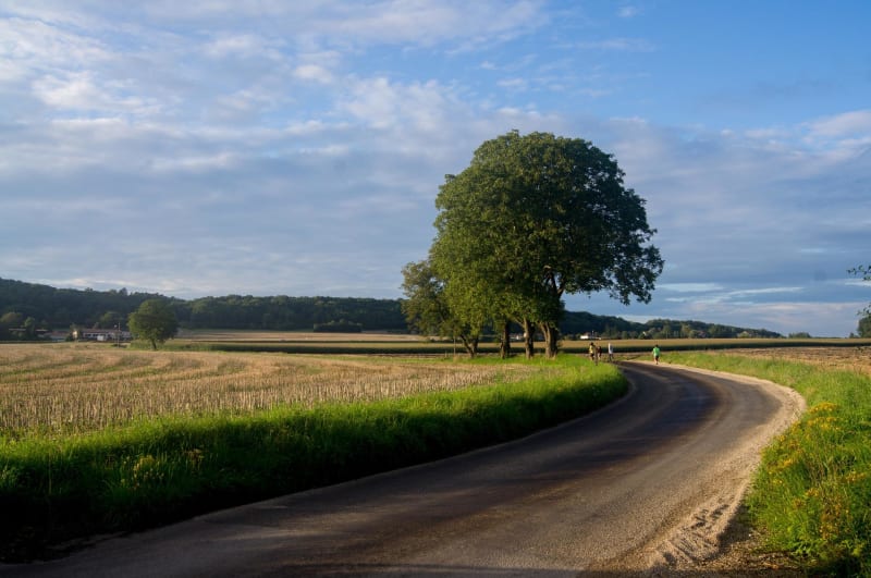 Promenade entre Bellot et Villeneuve-sur-Bellot - Bellot