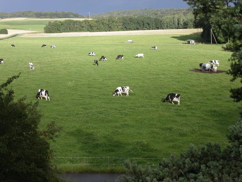 Le Bourg et ses paysages verdoyants - Saint-Paër