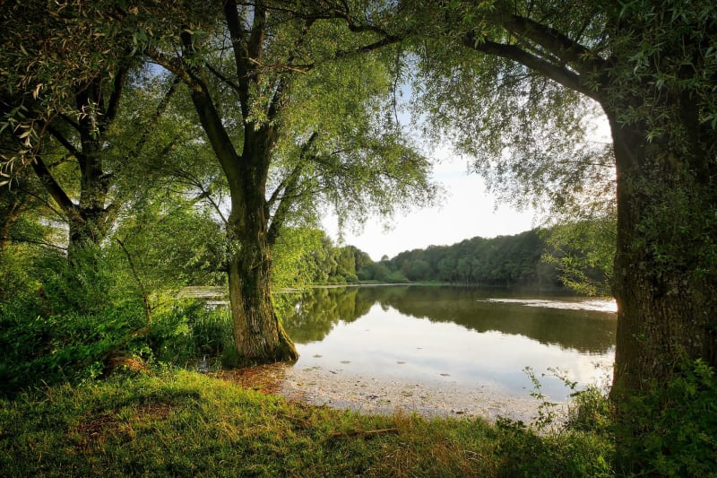 Bain de nature et GR® autour de Coye-la-Forêt - Coye-la-Forêt