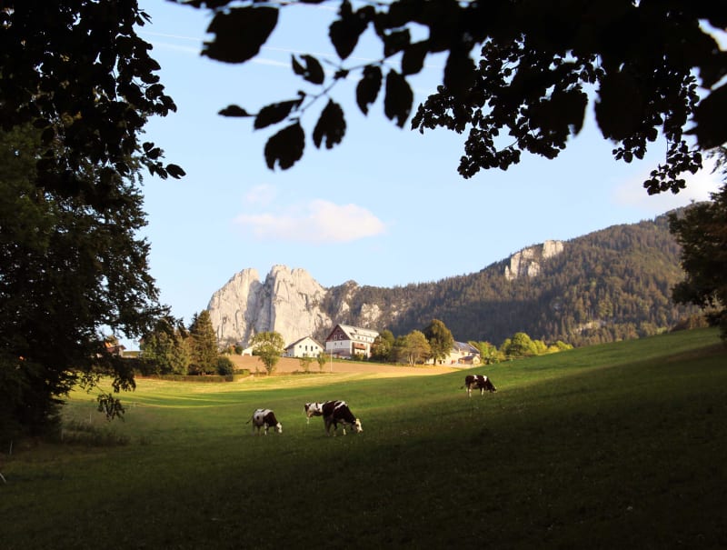 Défilé du Coulou et paysages sublimes à Saint-Nizier - Saint-Nizier-du-Moucherotte
