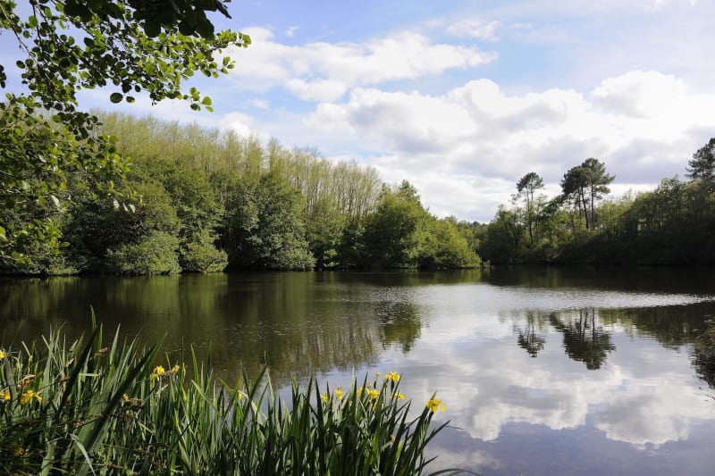 Escapade poétique dans la forêt domaniale d'Ermenonville - Ermenonville