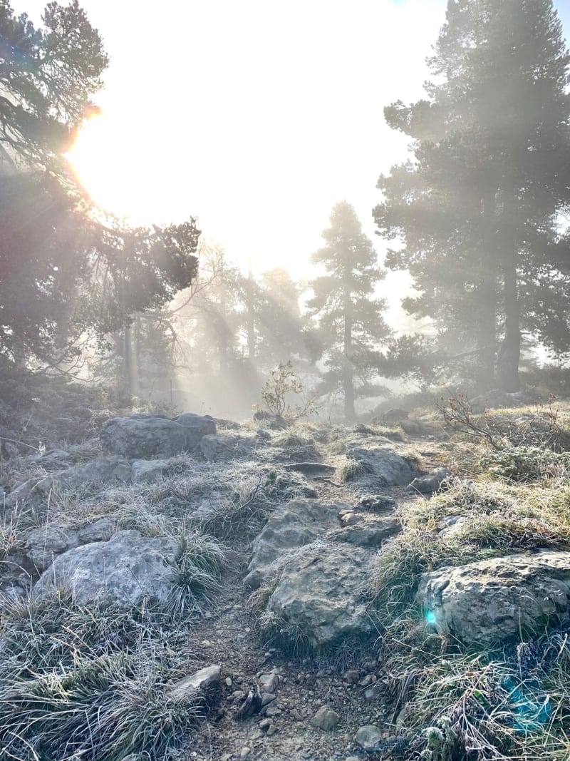 Boucle du Parmelan depuis le Bois Brûlé et grimpette sportive - Villaz