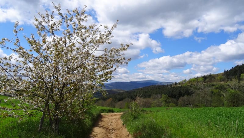 Mines d’Eteize et du Fayet et vestige du passé - Eteize