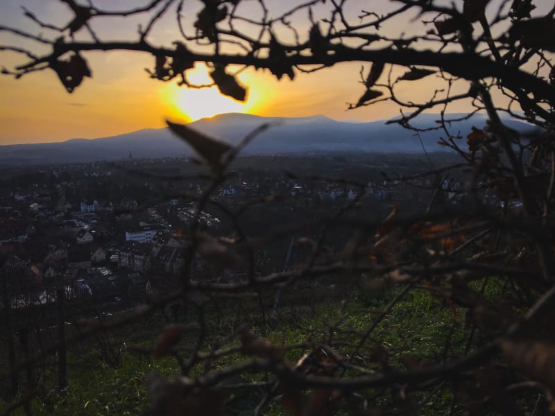 Le Mont Sainte-Odile par la face Est, depuis Obernai - Obernai
