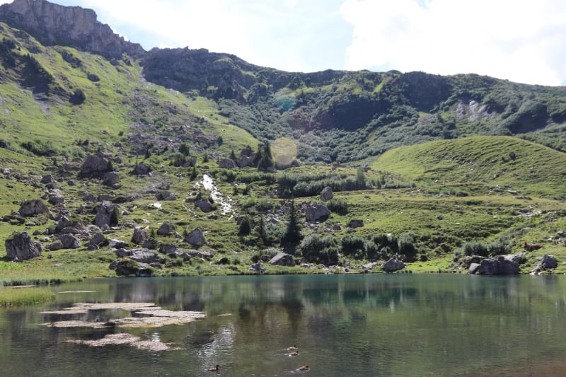 Petite virée savoyarde et beautés lacustres du Beaufortain - L'Ami, Beaufort