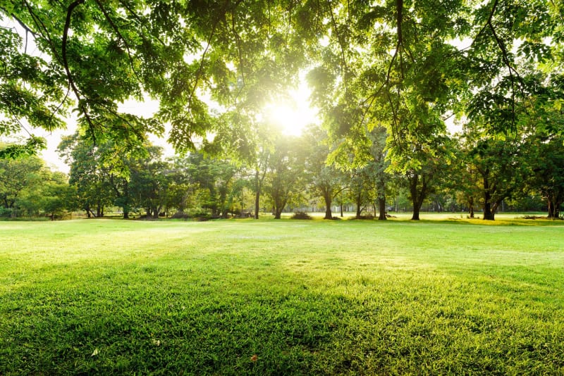 Parc départemental de la Haute-Île à Chelles - Chelles