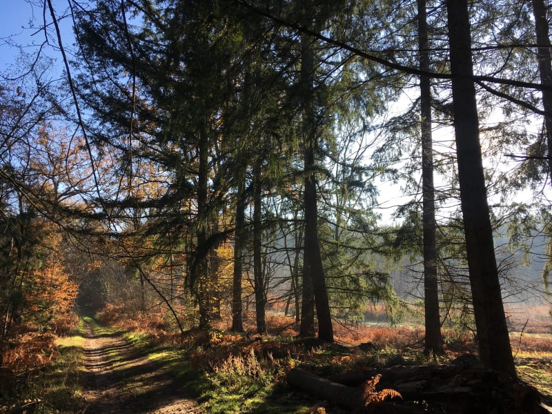 Mézières-lez-Cléry et son chemin incontournable des vallées - Mézières-lez-Cléry