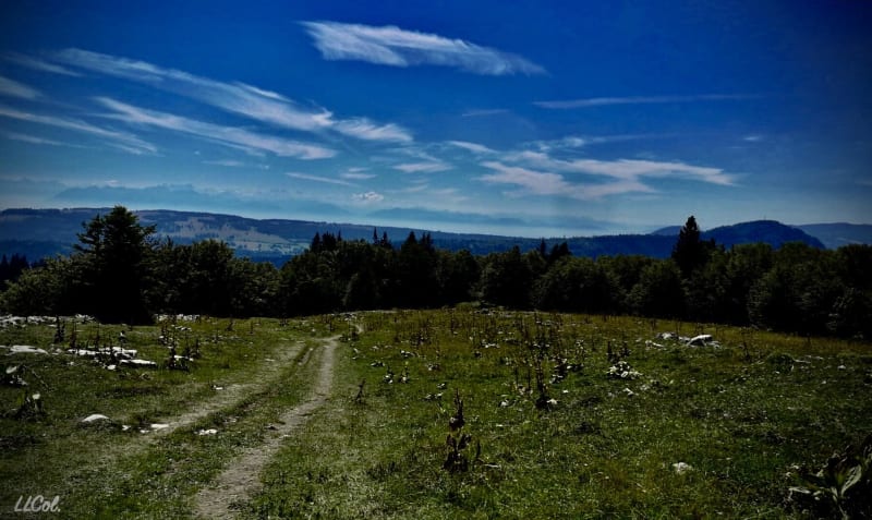 Balade au Mont d’Or et son panorama superbe sur les Alpes - Les Tavins