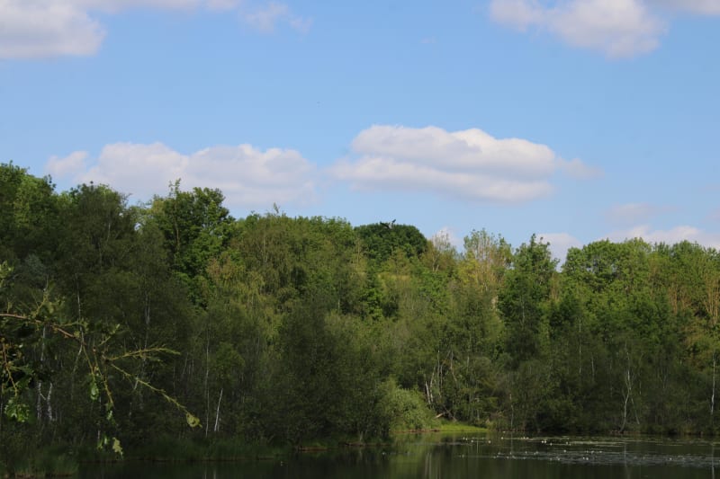 Balade en Picardie et sa magnifique forêt de Creuse - Creuse