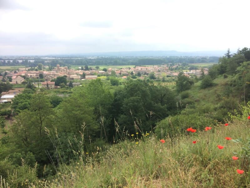 Bain de culture et flâneries de Champagne à Peyraud - Champagne