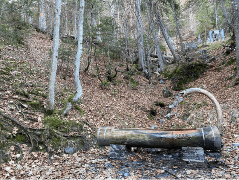 Bain de forêt jusqu'au Lac Vert entre Servoz et Passy - Servoz