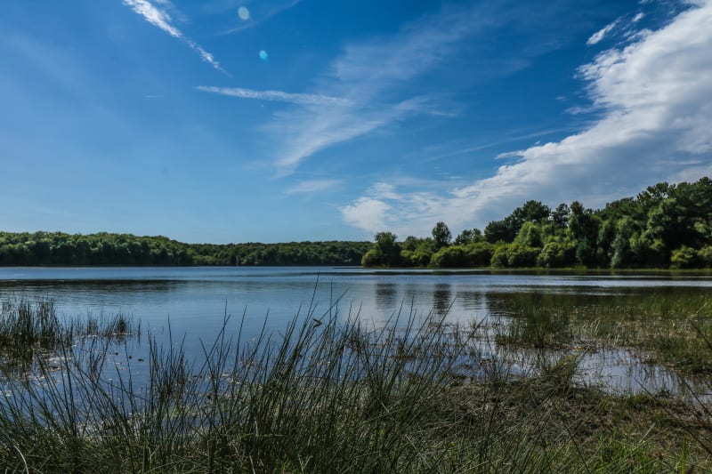 Tour du domaine de Trémelin et bulle de nature - Iffendic