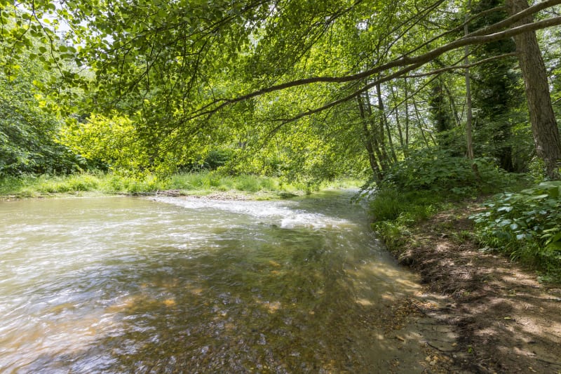 Plongée dans la vallée de la Galaure et coteaux sableux - La-Motte-de-Galaure