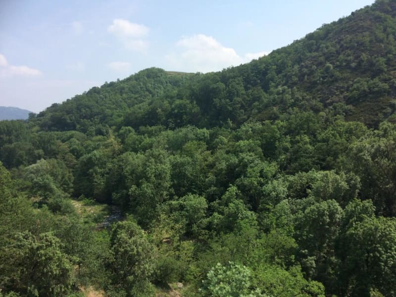 Balade à Sarras et s'enivrer le long du sentier des vignes - Sarras