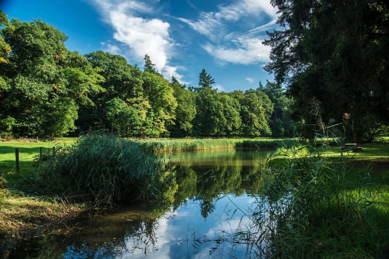 Tour de la forêt domaniale de Versailles - Guyancourt