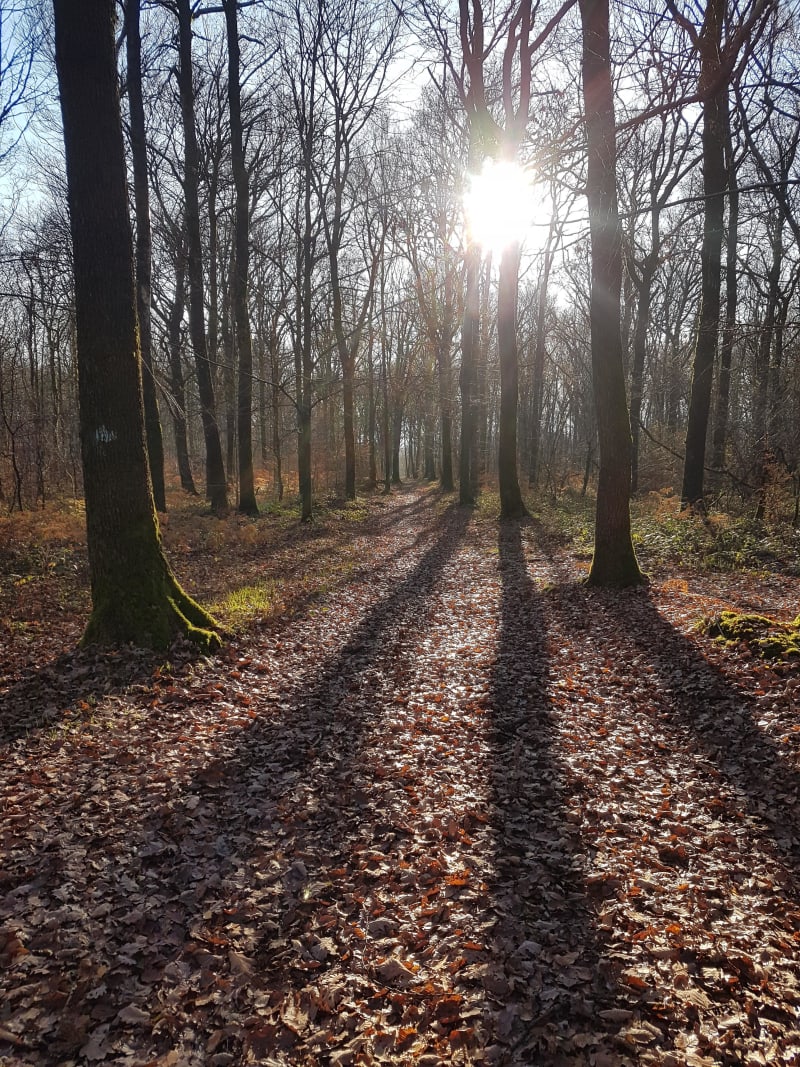 Nouzonville et sa balade entre bois et bords de Meuse - Charleville-Mézières