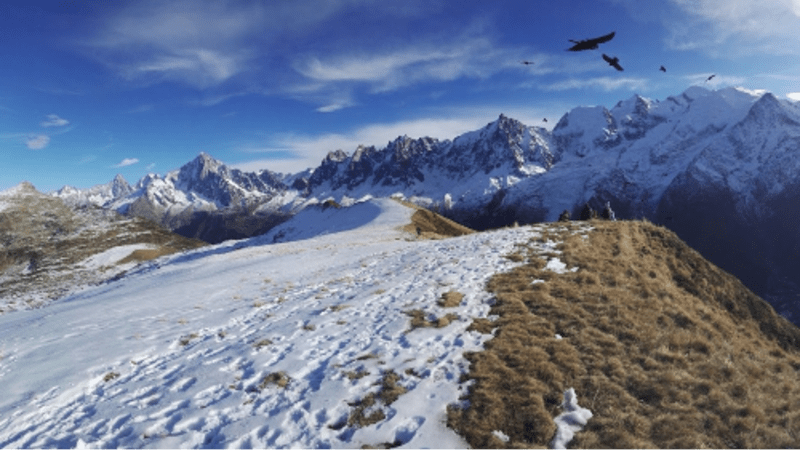 Aiguillette des Houches par le refuge et le col de Bellachat - Parc de Marlet, Les Houches
