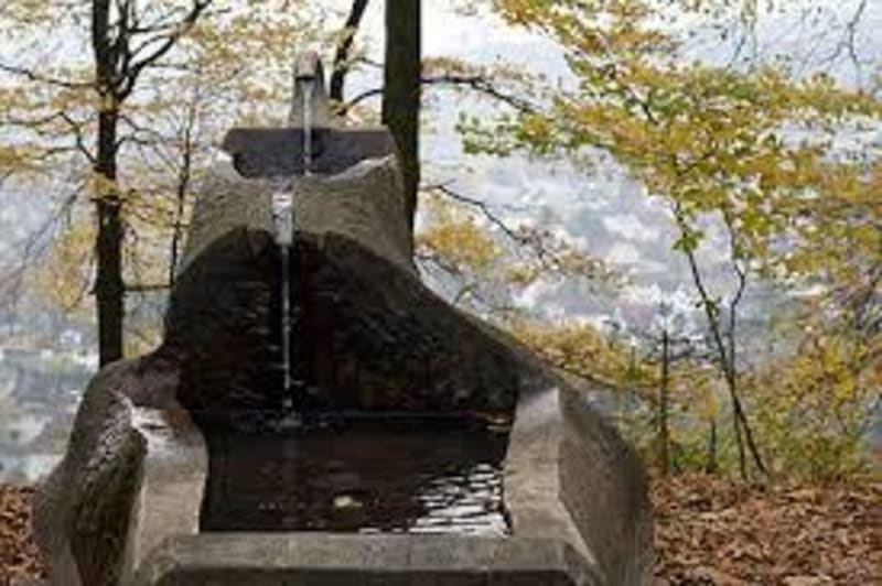 La fontaine celtique à Saint-Laurent-Médoc - Saint-Laurent-Médoc