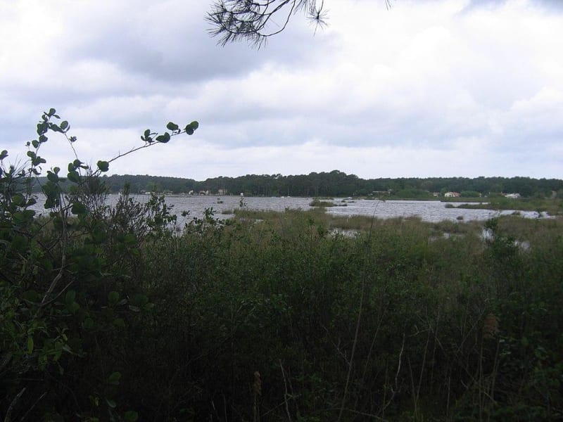 Entre forêt et étang autour de Lacanau - Lacanau