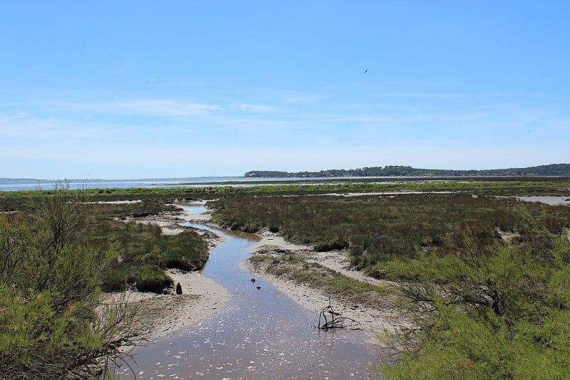 Réserve des près d'Arès et de Lège-Cap-Ferret - Lège-Cap-Ferret