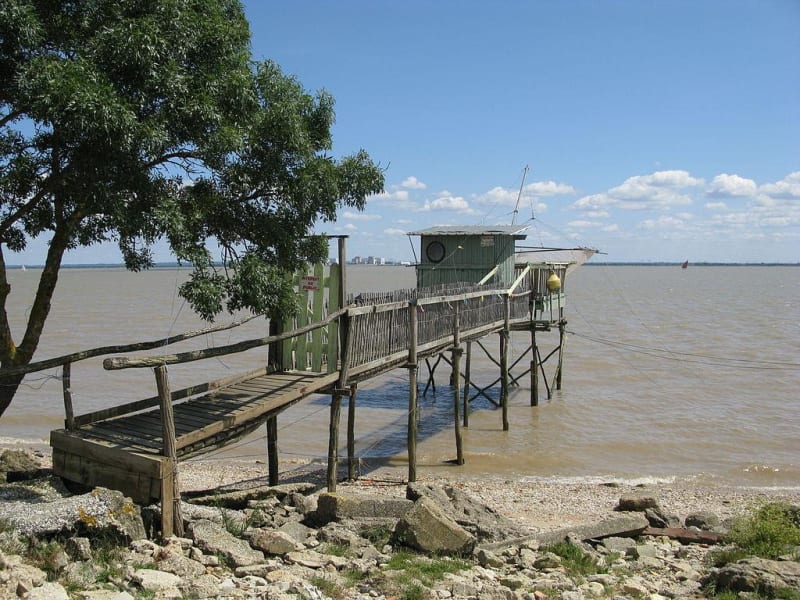 Marcher sur les bords de la Gironde à Gauriac - Gauriac