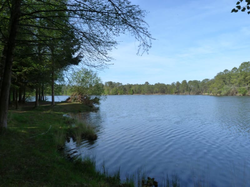 Le tour du petit lac de Bernadas - Hostens