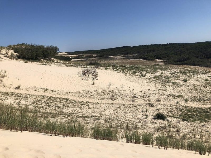 La dune du Crohot Noir au départ de Claouey - Claouey, Lège-Cap-Ferret