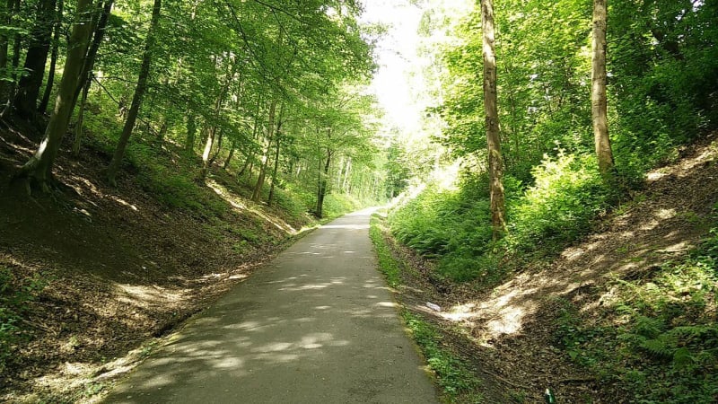 La chapelle Saint-Raphaël et sa forêt - Avensan