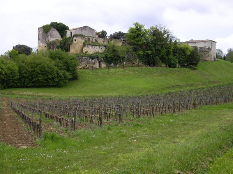 Château de Thau et ses vignes apaisantes - Villeneuve