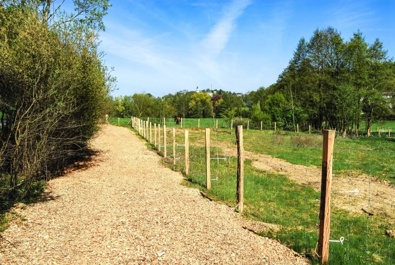 Evasion champêtre dans le val de Chevreuse - Chevreuse
