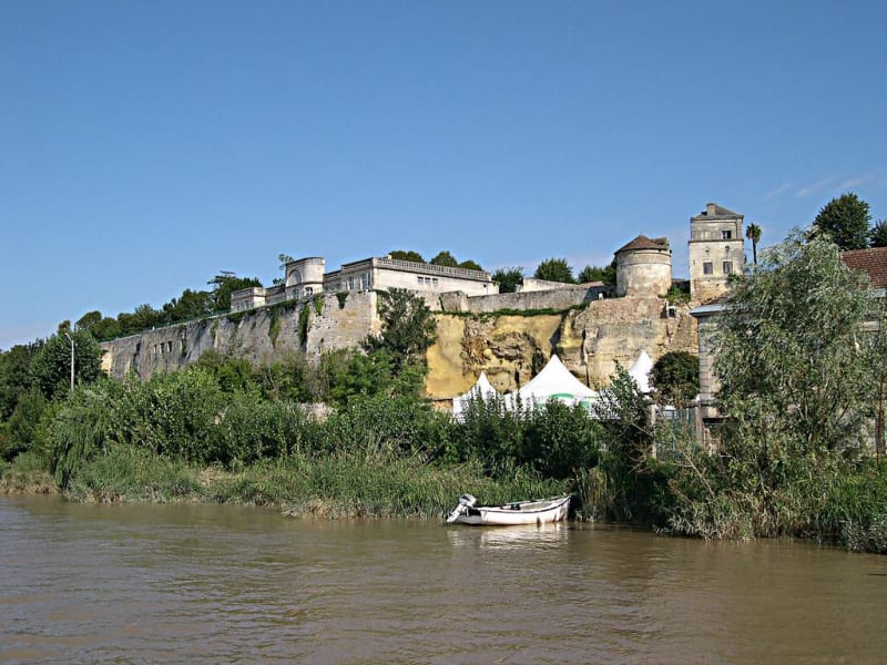 Bourg sur Gironde et ses vignobles - Bourg