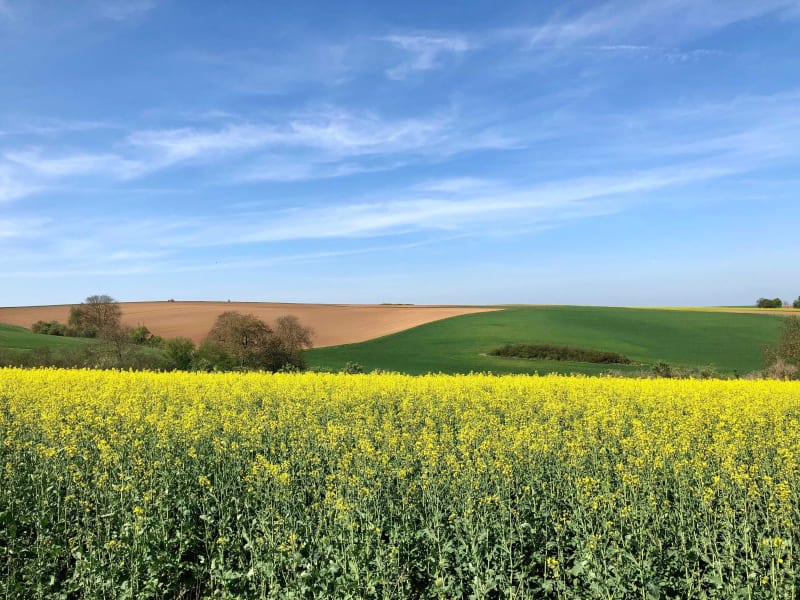 Sentier des Deux Chênes à Schlierbach - Schlierbach