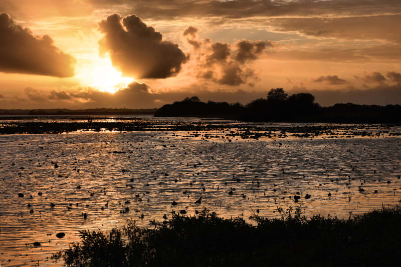 Saint-Aignan-Grandlieu, son lac, ses vignes et ses bocages - Saint-Aignan-Grandlieu